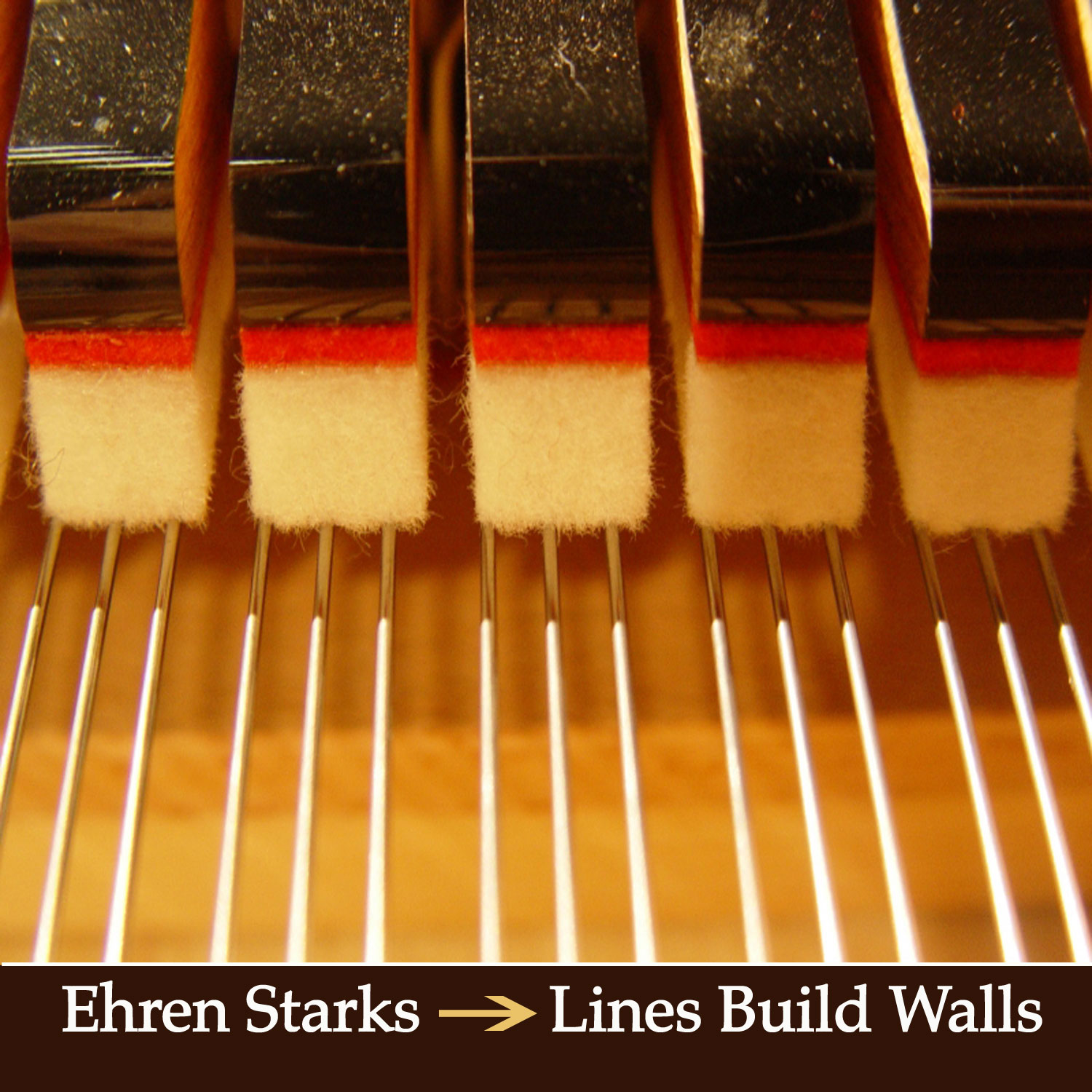 Lines Build Walls Ehren Starks